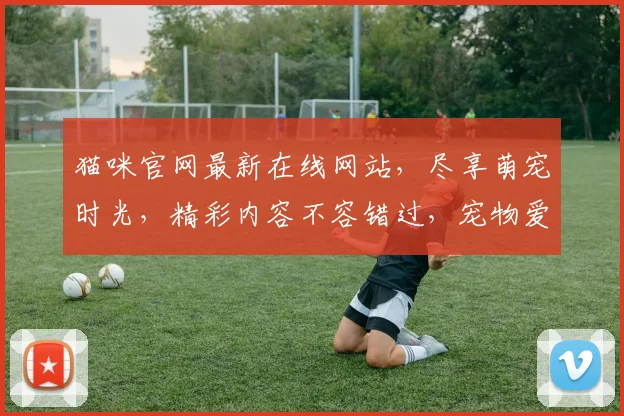 猫咪官网最新在线网站，尽享萌宠时光，精彩内容不容错过，宠物爱好者必看