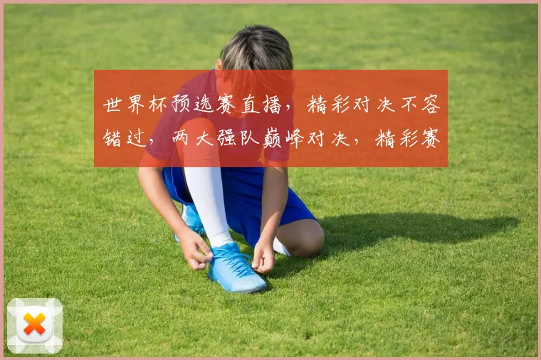 世界杯预选赛直播，精彩对决不容错过，两大强队巅峰对决，精彩赛事一网打尽