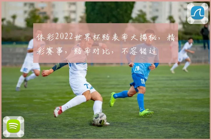 体彩2022世界杯赔表率大揭秘，精彩赛事，赔率对比，不容错过